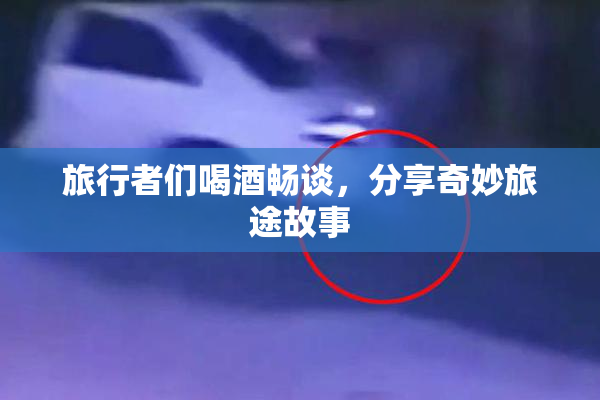 旅行者们喝酒畅谈，分享奇妙旅途故事
