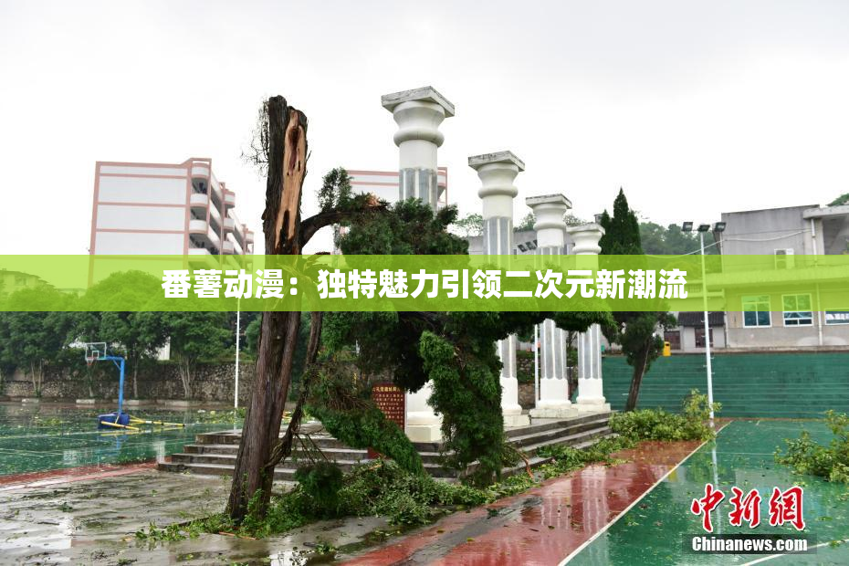 番薯动漫：独特魅力引领二次元新潮流