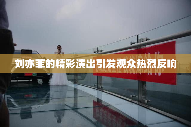 刘亦菲的精彩演出引发观众热烈反响