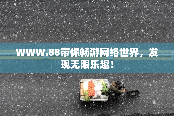 WWW.88带你畅游网络世界，发现无限乐趣！