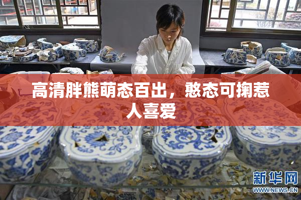 高清胖熊萌态百出，憨态可掬惹人喜爱