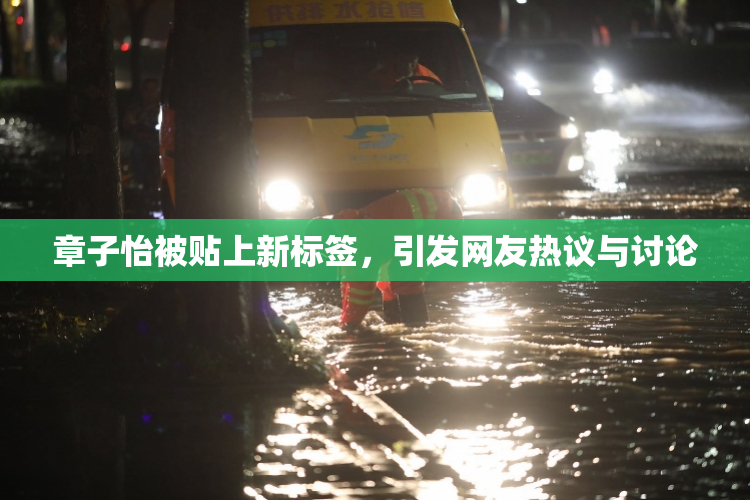 章子怡被贴上新标签，引发网友热议与讨论