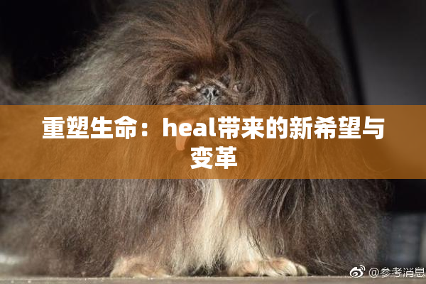 重塑生命：heal带来的新希望与变革