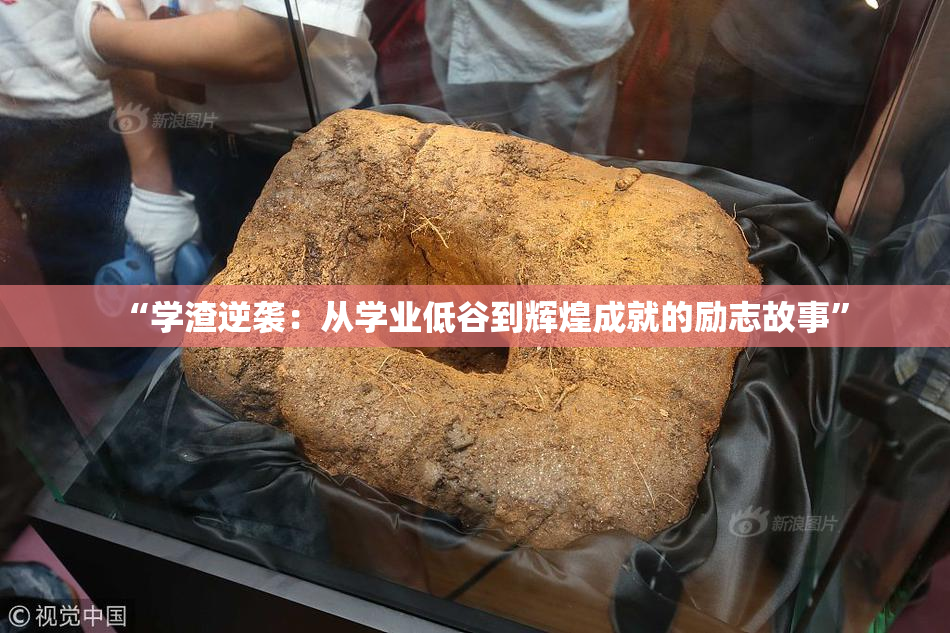 “学渣逆袭：从学业低谷到辉煌成就的励志故事”