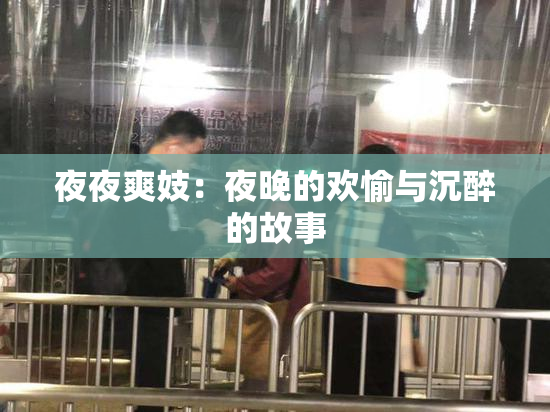 夜夜爽妓：夜晚的欢愉与沉醉的故事