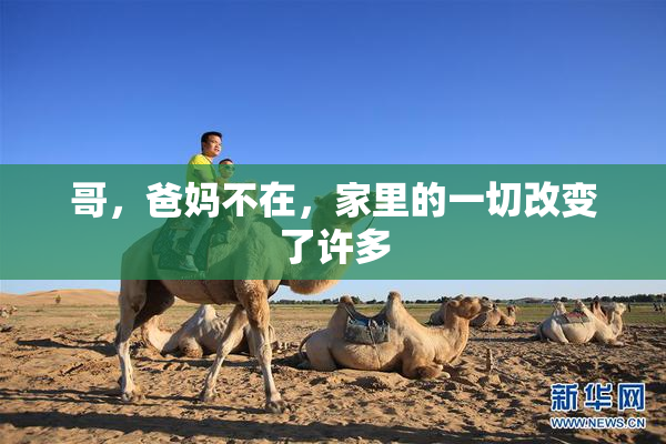 哥，爸妈不在，家里的一切改变了许多