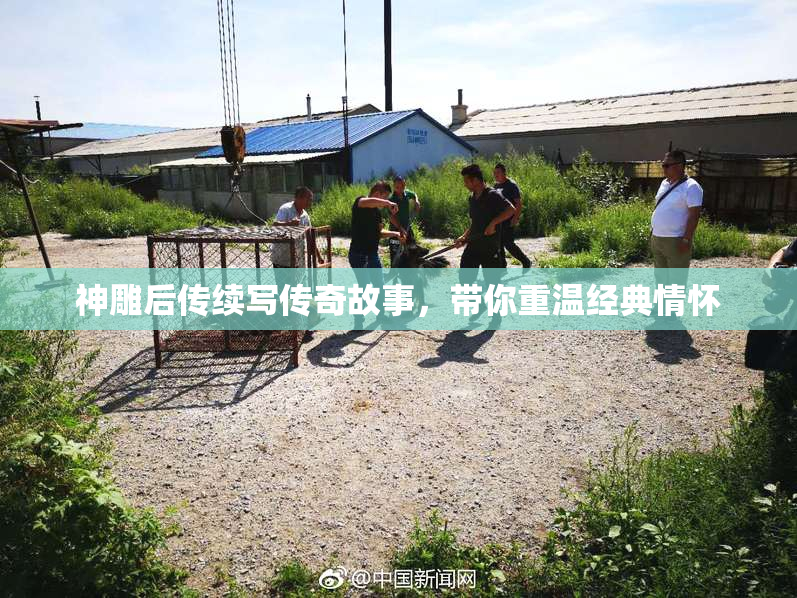 神雕后传续写传奇故事，带你重温经典情怀