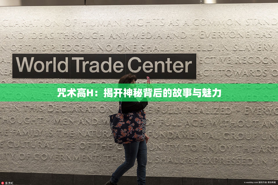咒术高H：揭开神秘背后的故事与魅力