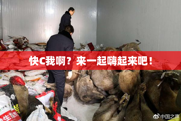 快C我啊？来一起嗨起来吧！