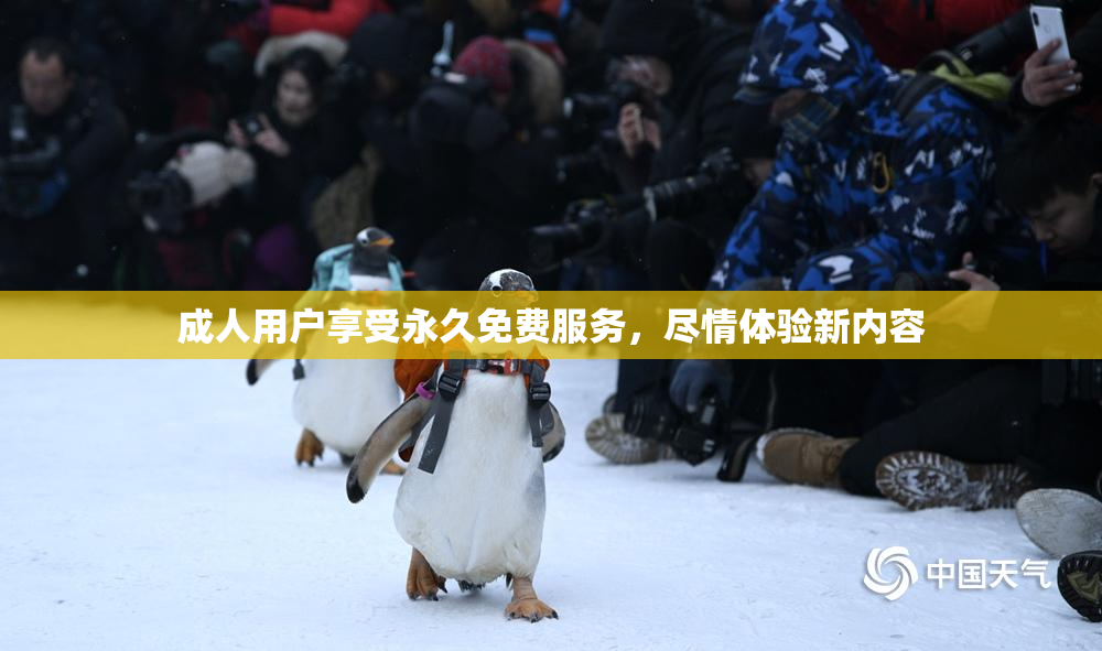 成人用户享受永久免费服务，尽情体验新内容