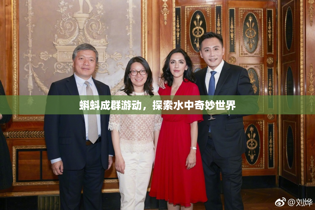蝌蚪成群游动，探索水中奇妙世界