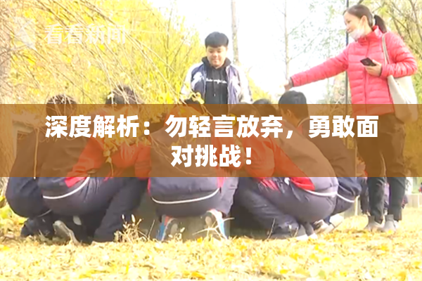 深度解析：勿轻言放弃，勇敢面对挑战！