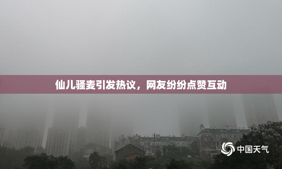 仙儿骚麦引发热议，网友纷纷点赞互动