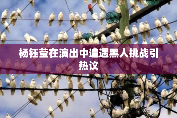 杨钰莹在演出中遭遇黑人挑战引热议