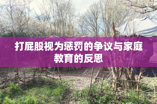 打屁股视为惩罚的争议与家庭教育的反思