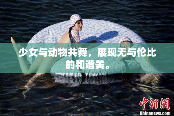 少女与动物共舞，展现无与伦比的和谐美。