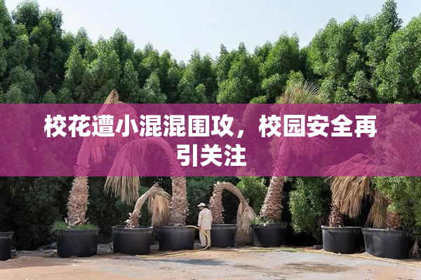 校花遭小混混围攻，校园安全再引关注