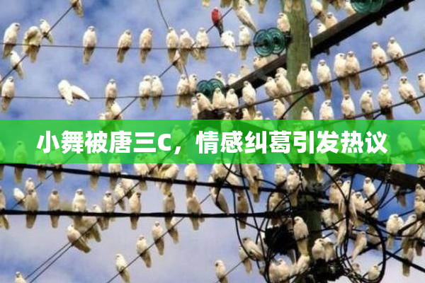 小舞被唐三C，情感纠葛引发热议
