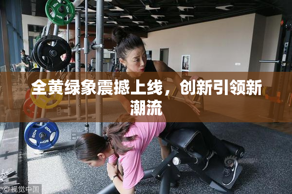全黄绿象震撼上线，创新引领新潮流