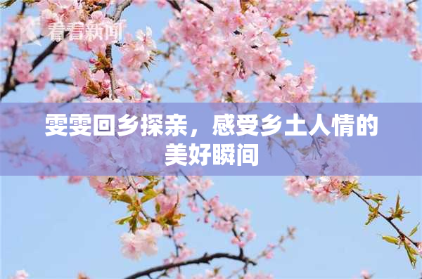 雯雯回乡探亲，感受乡土人情的美好瞬间