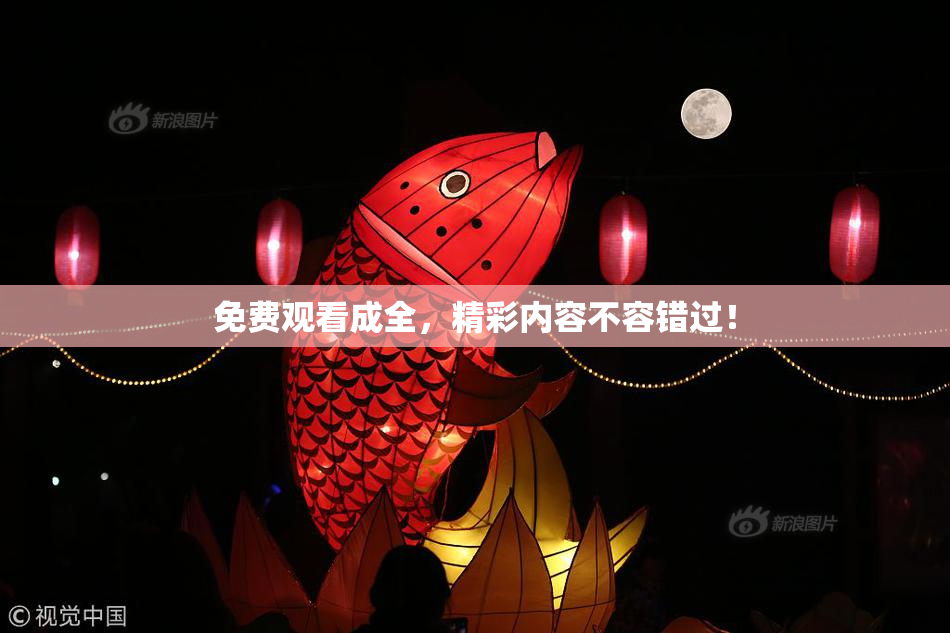 免费观看成全，精彩内容不容错过！