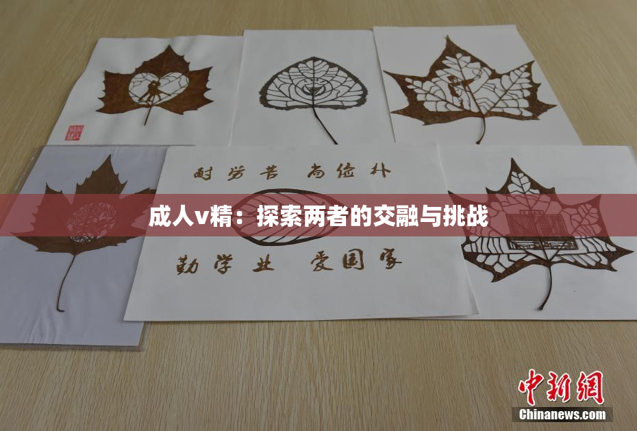 成人v精：探索两者的交融与挑战