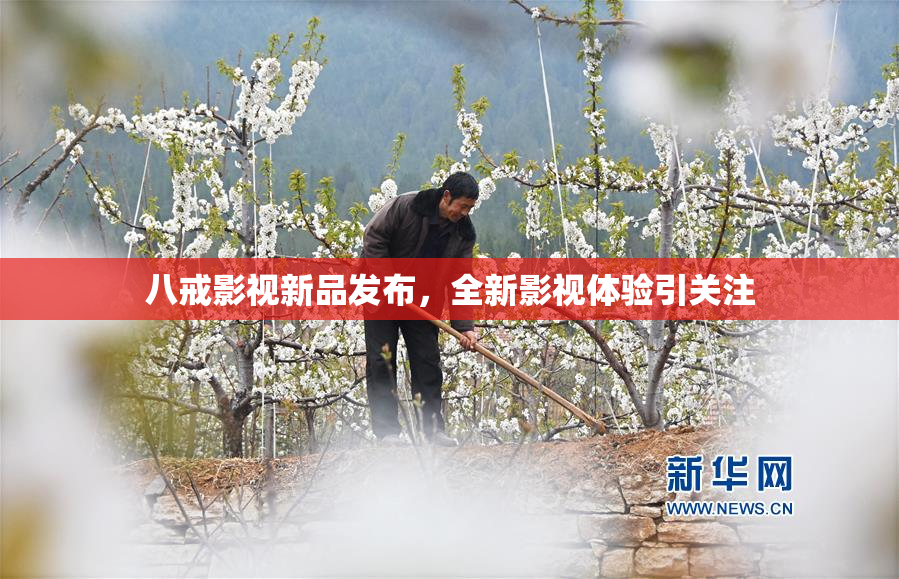 八戒影视新品发布，全新影视体验引关注