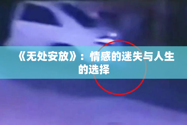 《无处安放》：情感的迷失与人生的选择