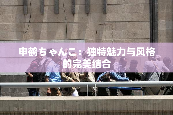 申鹤ちゃんこ：独特魅力与风格的完美结合