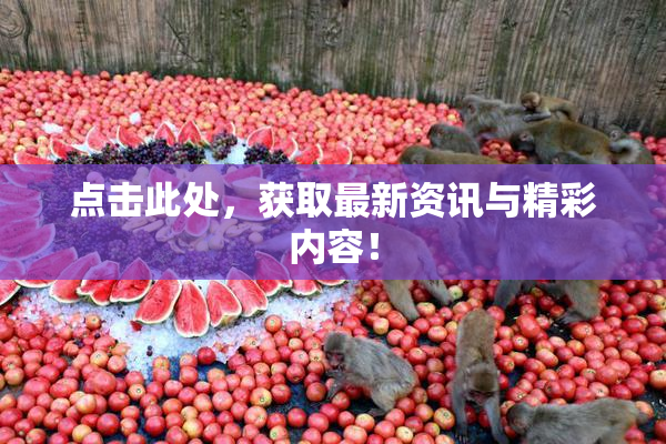 点击此处，获取最新资讯与精彩内容！