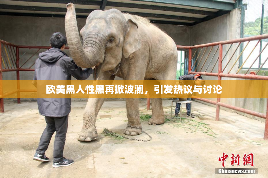 欧美黑人性黑再掀波澜，引发热议与讨论