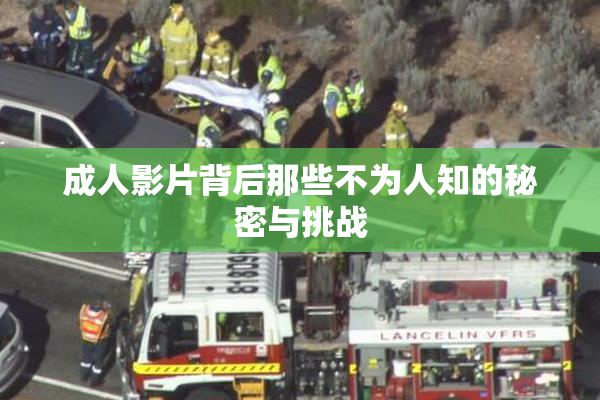 成人影片背后那些不为人知的秘密与挑战
