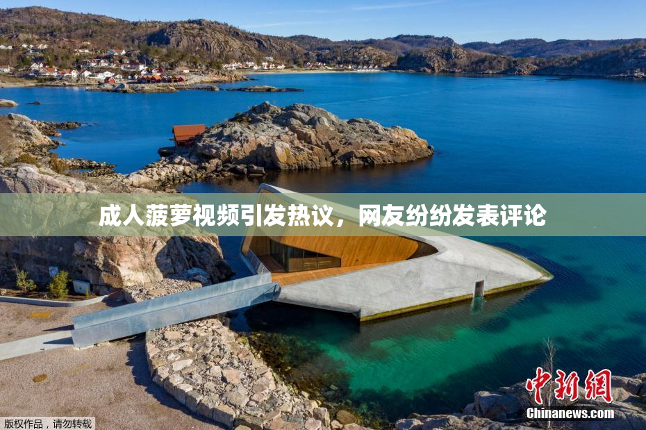 成人菠萝视频引发热议，网友纷纷发表评论