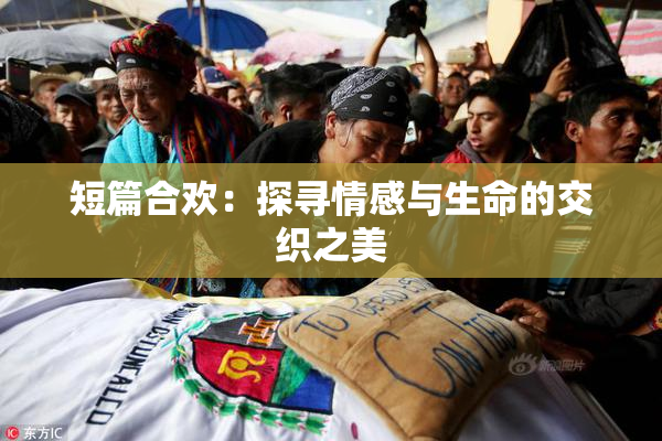 短篇合欢：探寻情感与生命的交织之美