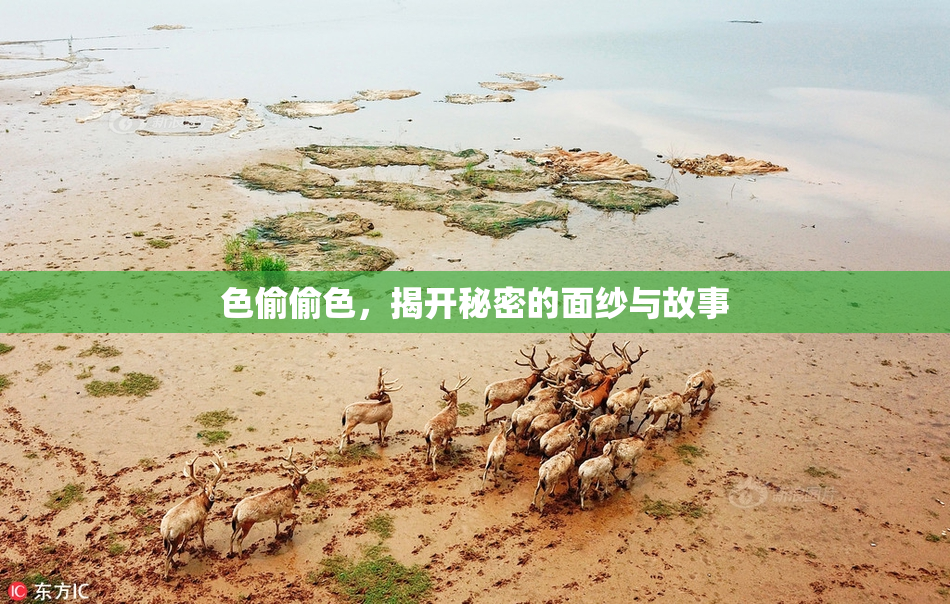 色偷偷色，揭开秘密的面纱与故事