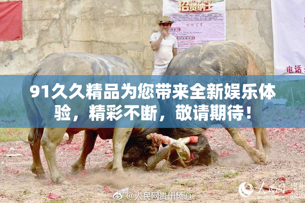91久久精品为您带来全新娱乐体验，精彩不断，敬请期待！