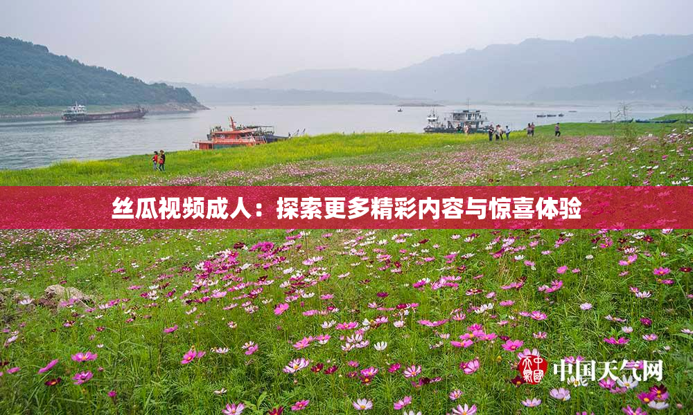 丝瓜视频成人：探索更多精彩内容与惊喜体验