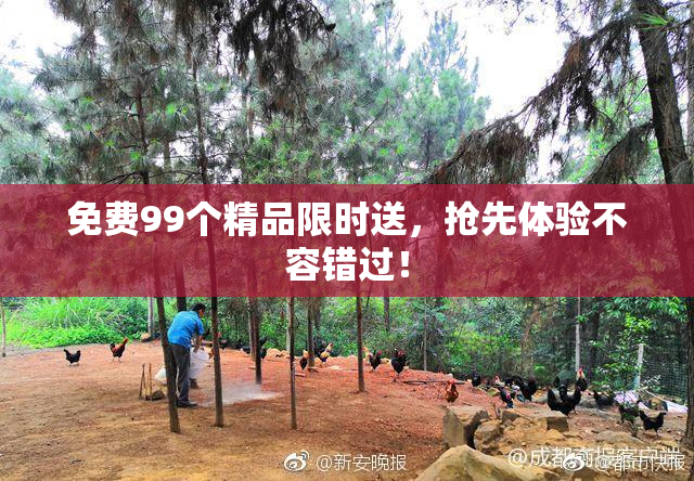免费99个精品限时送，抢先体验不容错过！