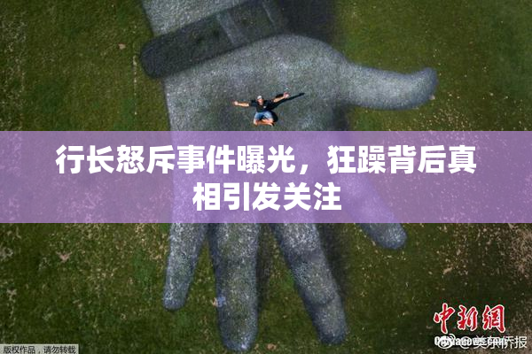 行长怒斥事件曝光，狂躁背后真相引发关注