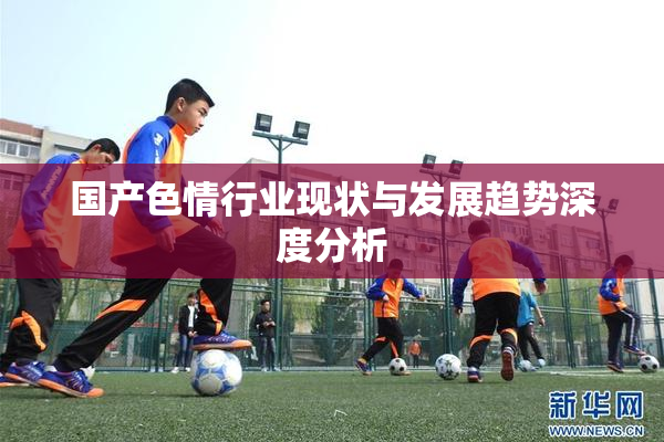 国产色情行业现状与发展趋势深度分析