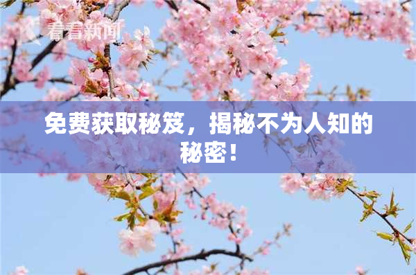 免费获取秘笈，揭秘不为人知的秘密！