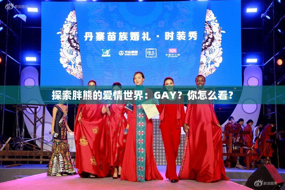 探索胖熊的爱情世界：GAY？你怎么看？
