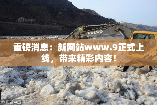 重磅消息：新网站www.9正式上线，带来精彩内容！