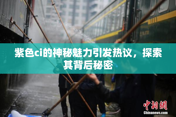 紫色ci的神秘魅力引发热议，探索其背后秘密