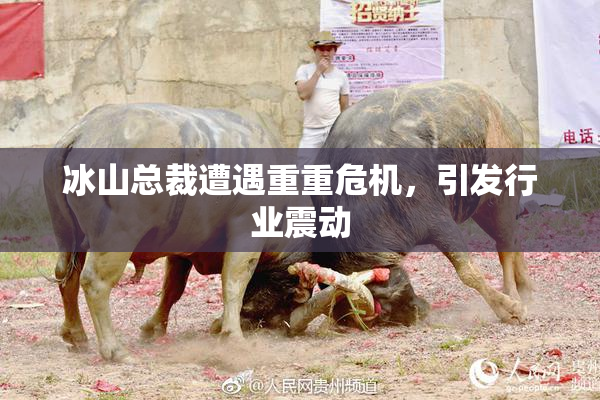 冰山总裁遭遇重重危机，引发行业震动