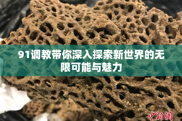 91调教带你深入探索新世界的无限可能与魅力