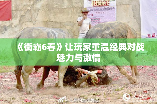 《街霸6春》让玩家重温经典对战魅力与激情
