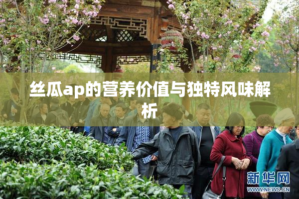 丝瓜ap的营养价值与独特风味解析