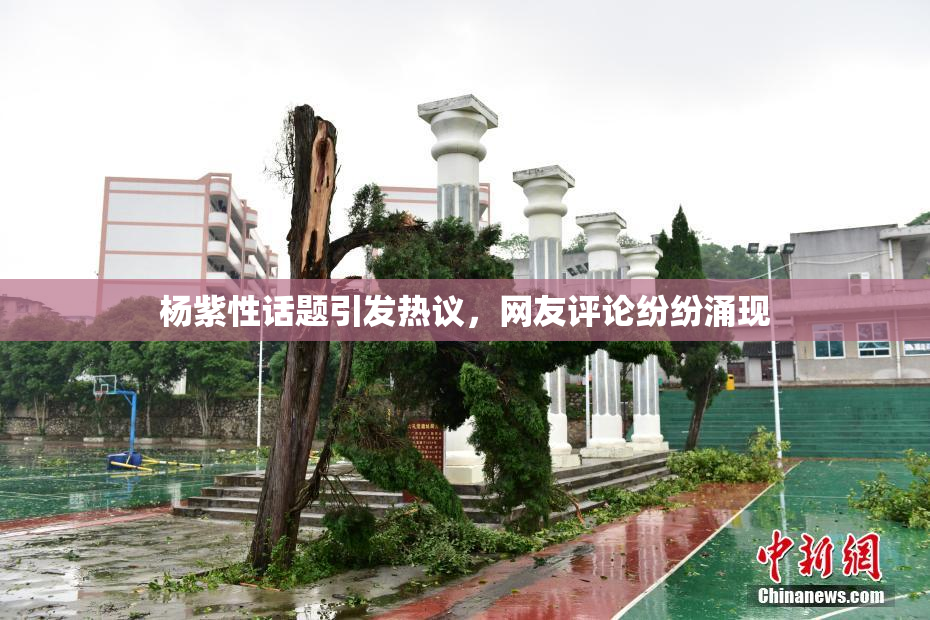 杨紫性话题引发热议，网友评论纷纷涌现