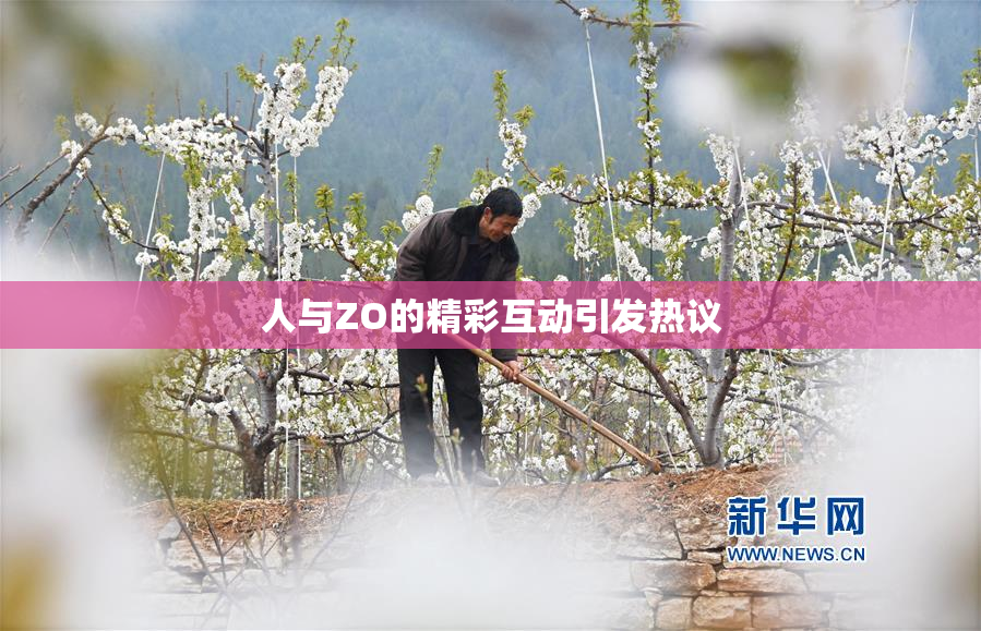 人与ZO的精彩互动引发热议